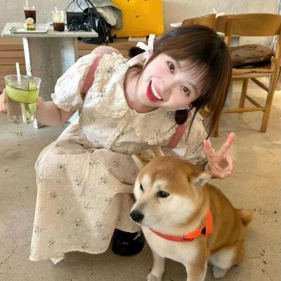迷失真相