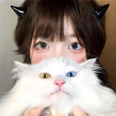 孤岛飞鹰